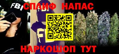 мдпв Рузаевка