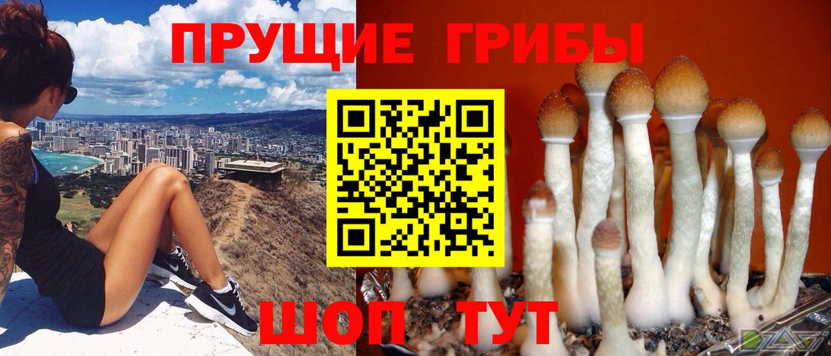 Псилоцибиновые грибы Magic Shrooms  Псилоцибиновые грибы ЛСД  Печора  как найти закладки  Вход с VPN 