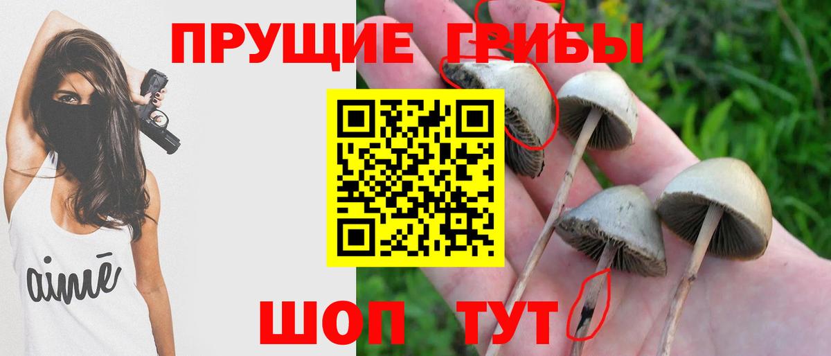 Галлюциногенные грибы Magic Shrooms Печора